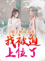 娘子树敌太多，我被迫上位了最新