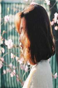 他是高危物种们的男妈妈