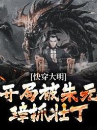 快穿大明开局被朱元璋抓壮丁杨少峰